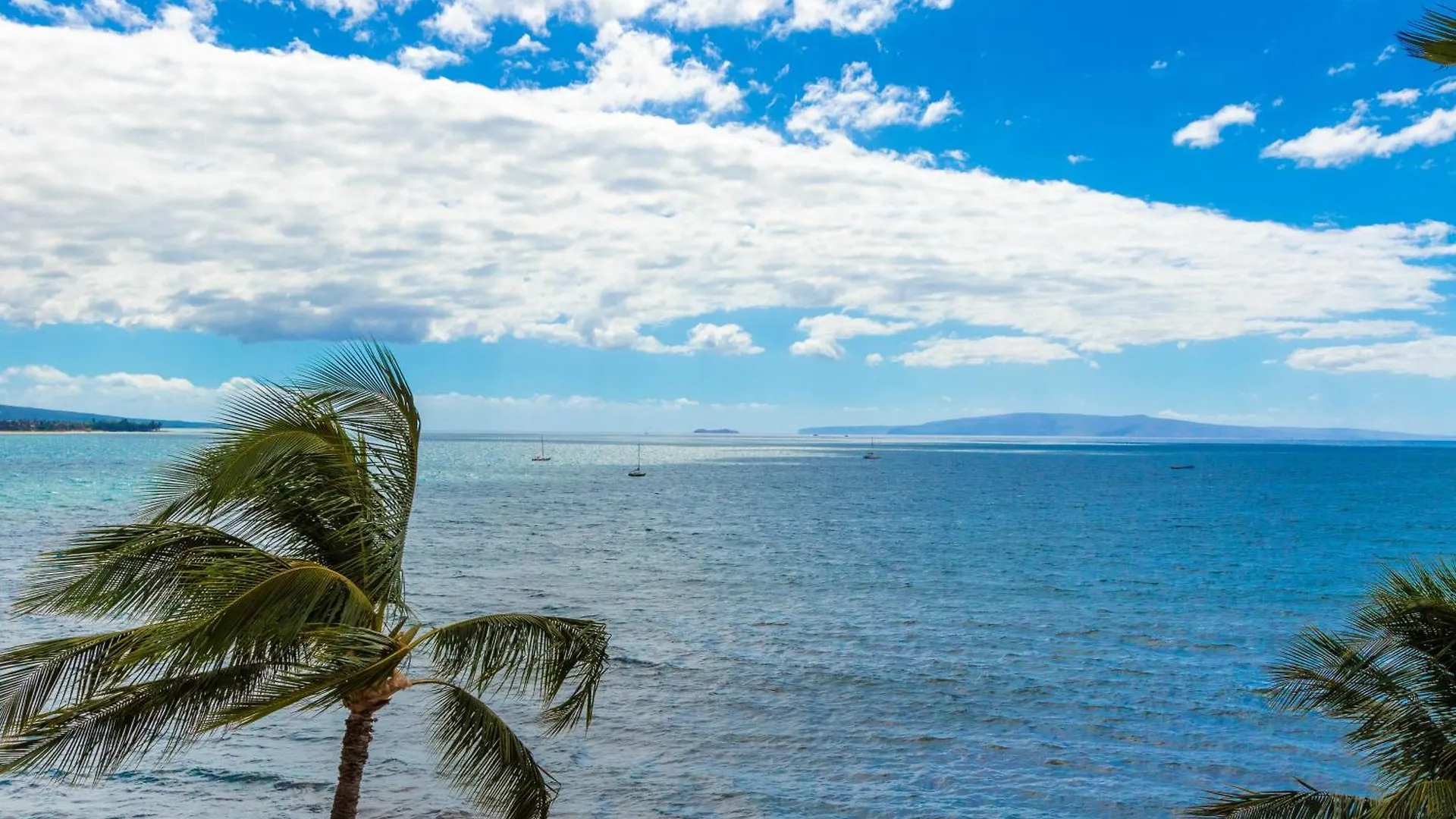 Sugar Beach 618 - Mch Kihei